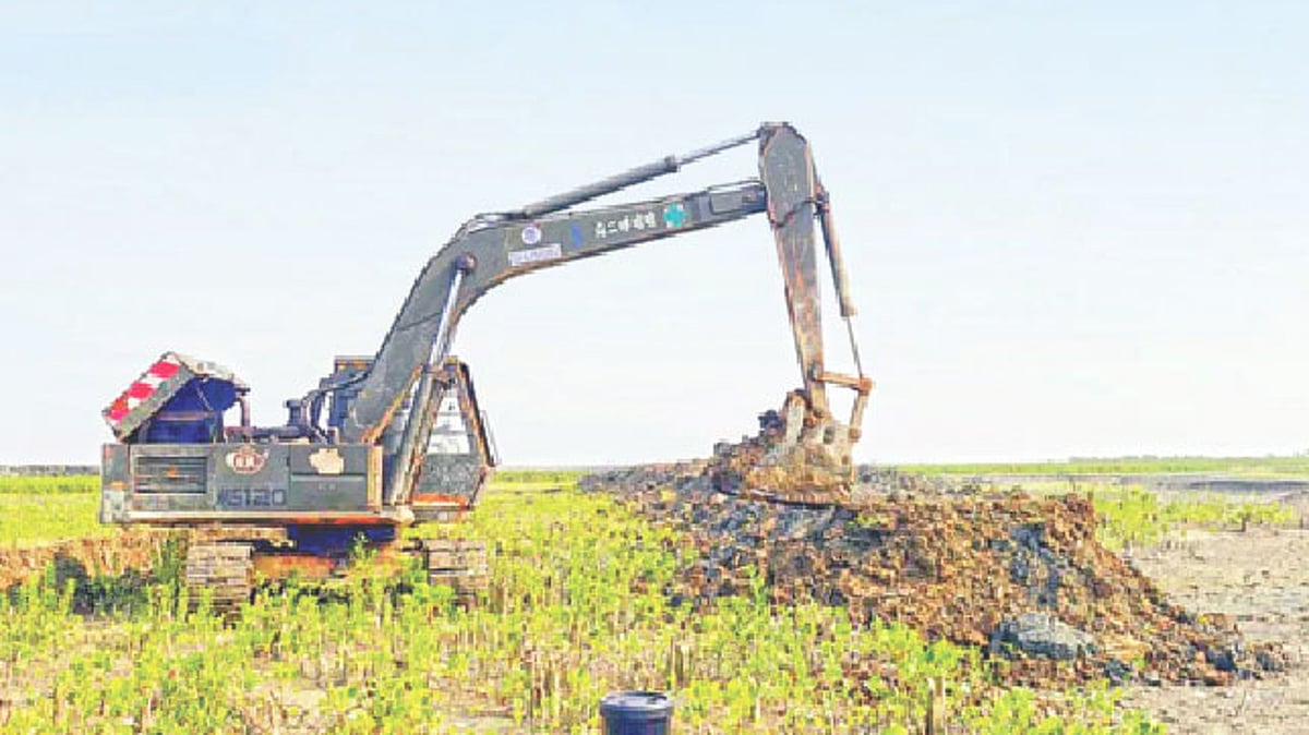 সংকটাপন্ন সোনাদিয়ায় গাছ কেটে আওয়ামী লীগ নেতাদের মাছ চাষ | প্রথম আলো