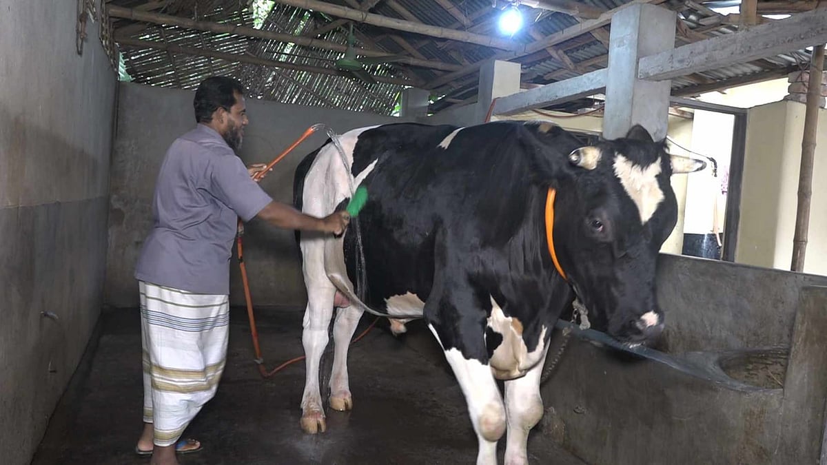 ছবি: মঈনুল ইসলাম