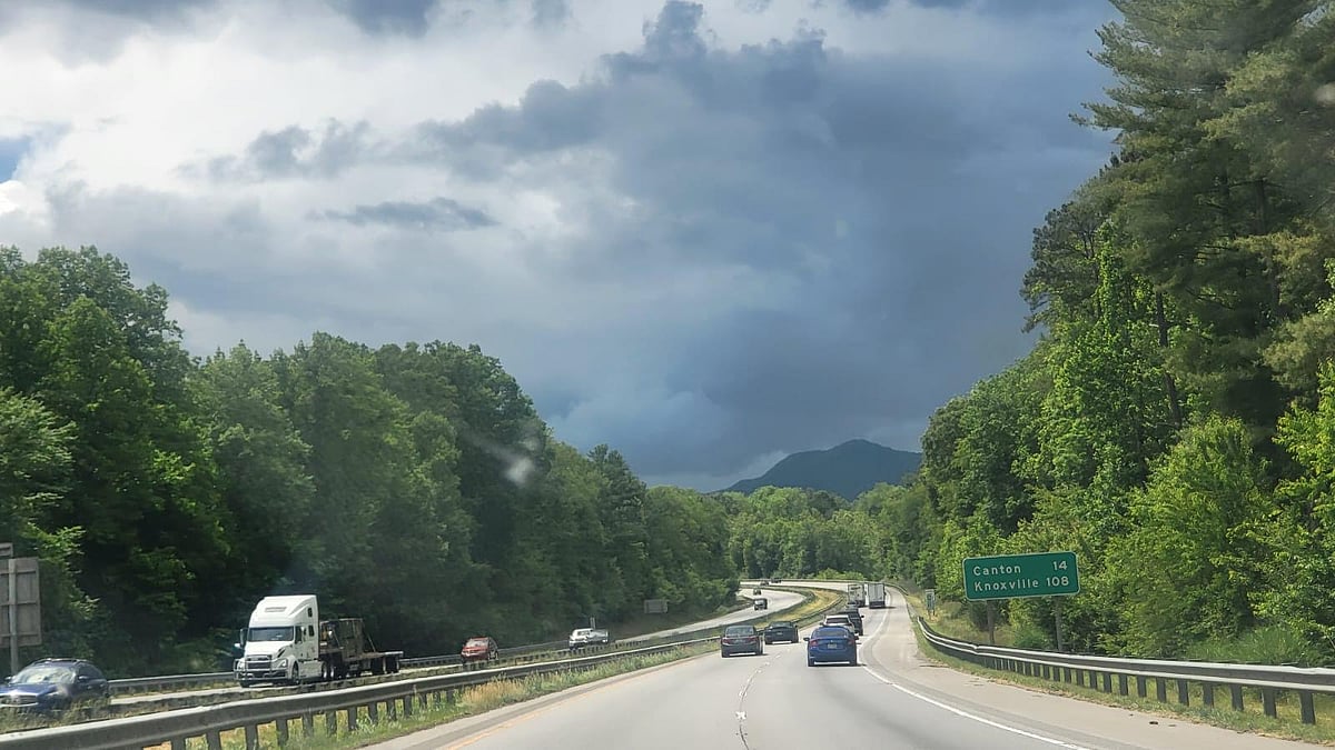 ছবি: লেখক