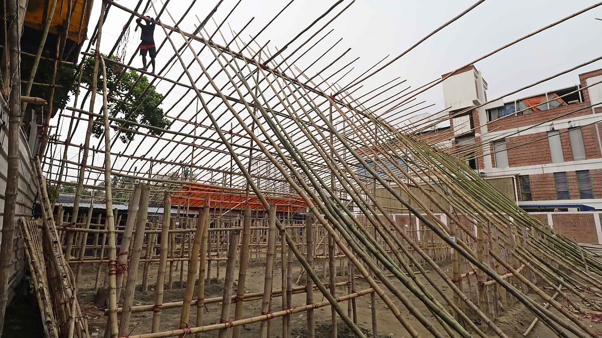 গরু রাখার জন্য প্যান্ডেল তৈরি করা হচ্ছে।