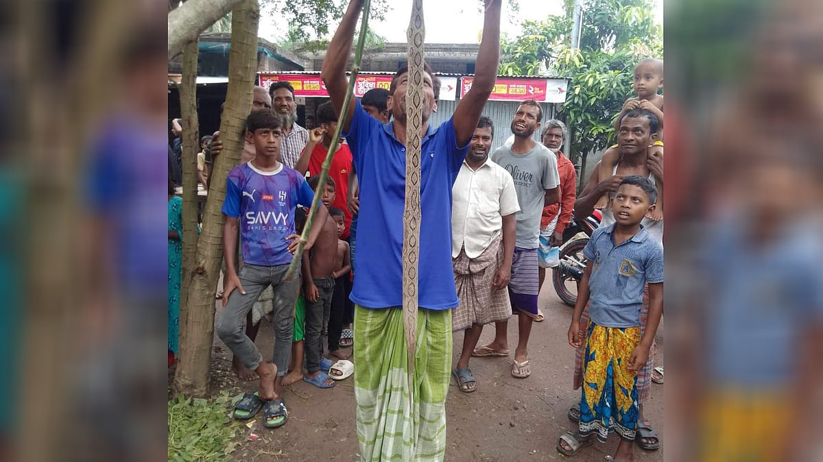 ছবি: সংগৃহীত