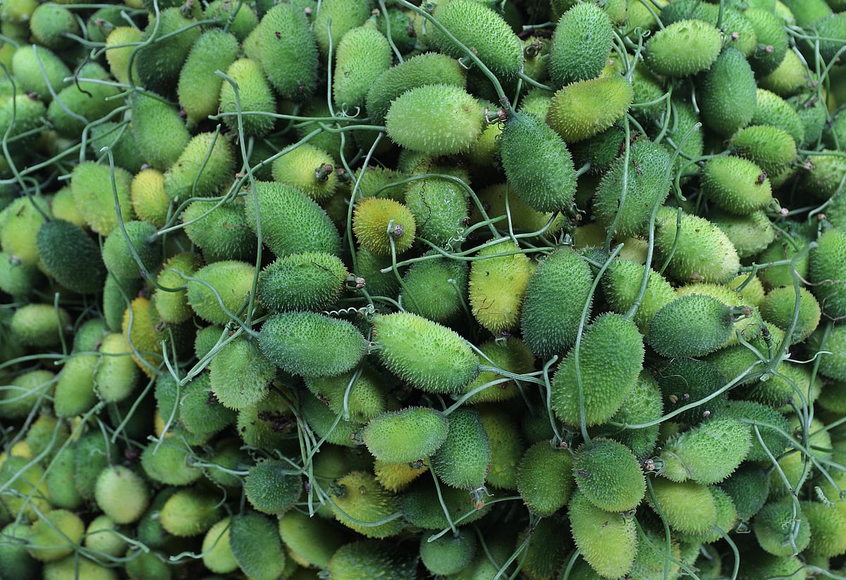 ছবি: প্রথম আলো