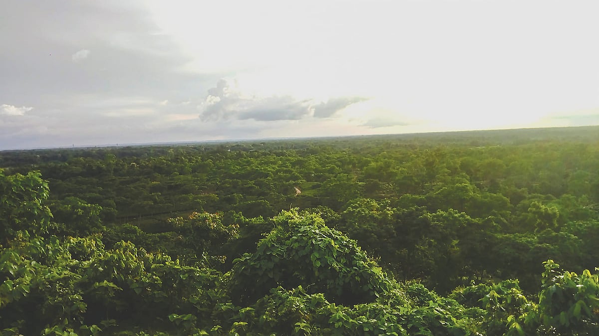 ছবি: লেখক