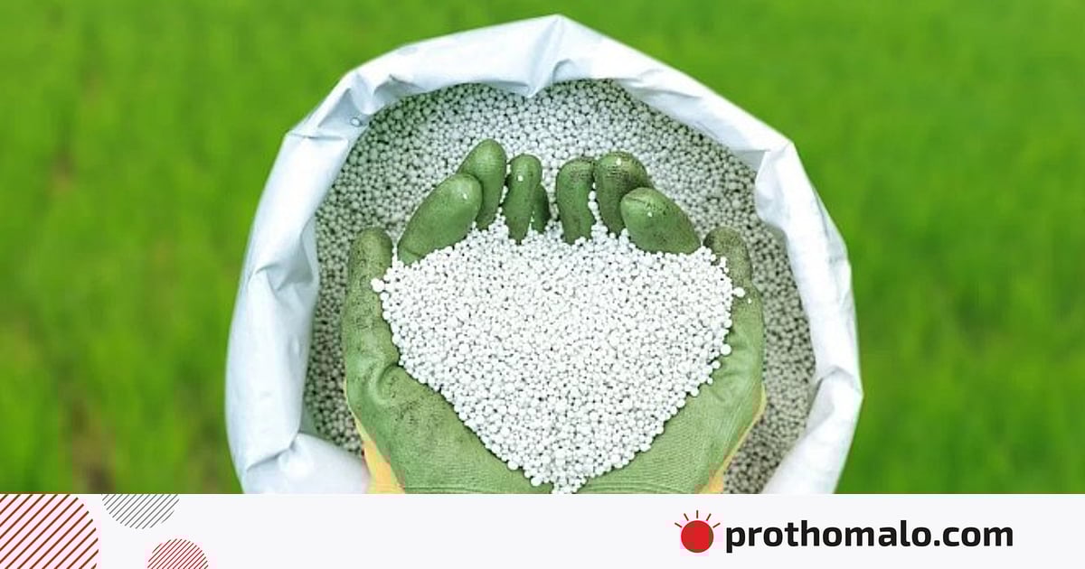 সার কিনতে নতুন উৎসের খোঁজ সার কিনতে নতুন উৎসের খোঁজ