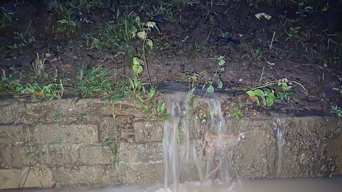 ছবি: প্রথম আলো