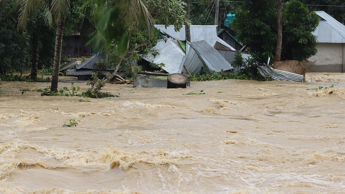 ছবি: এম সাদেক