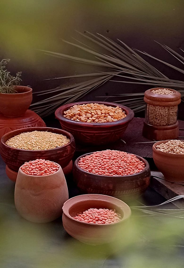 সুলভে আমিষ যোগাতে যার কোনো জুড়ি নেই