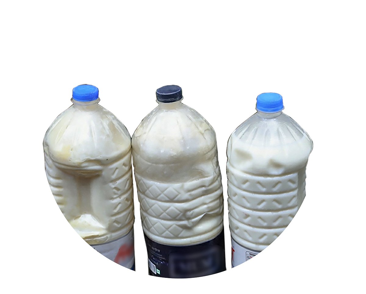 ছবি : সাবিনা ইয়াসমিন