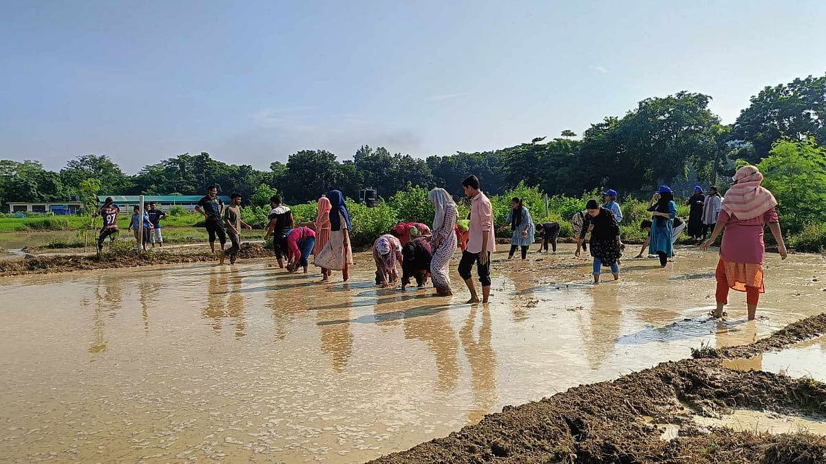 ছবি: সংগৃহীত