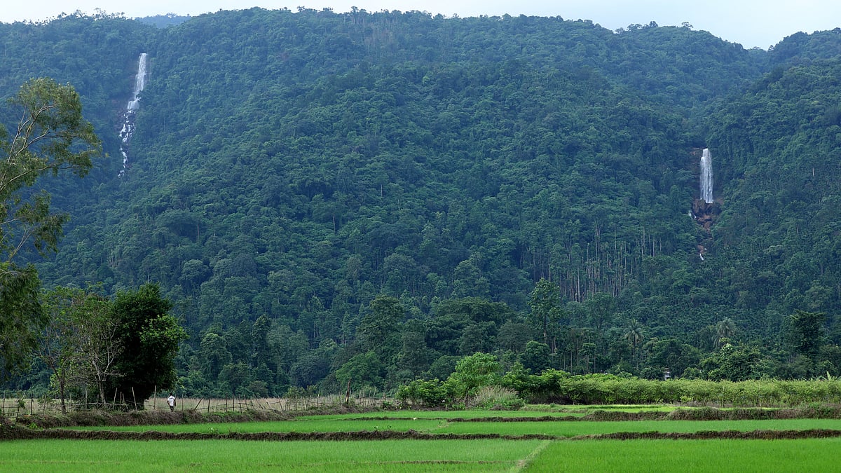 উঁচু পাহাড়ের বুকে ঝরনা আর নিচে ফসলের খেত—সবমিলে যেন সবুজের সমারোহ 