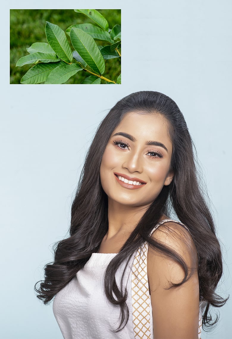 সুস্থ ও সুন্দর থাকুন পেয়ারা পাতার গুণে