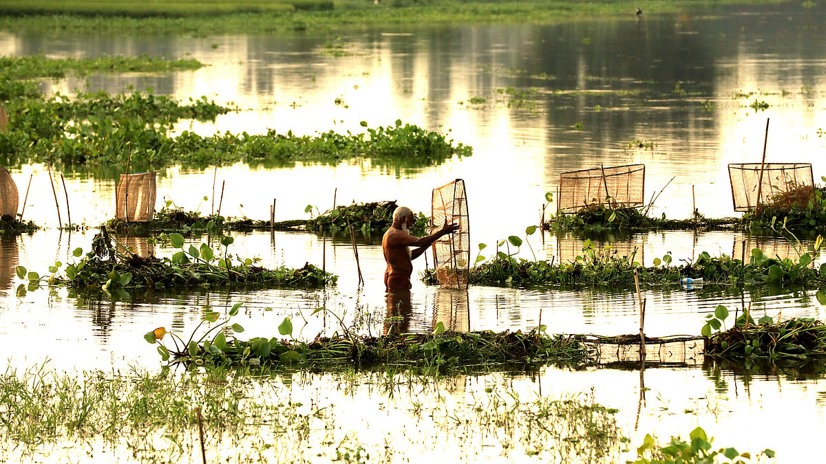  ছবি: সোয়েল রানা