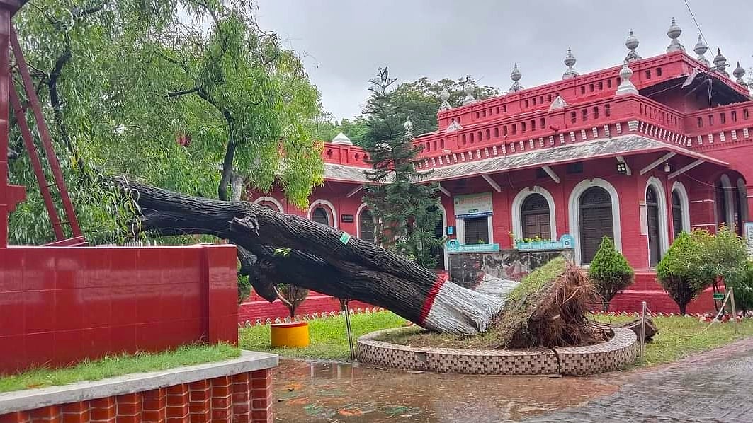 ছবি : প্রথম আলো