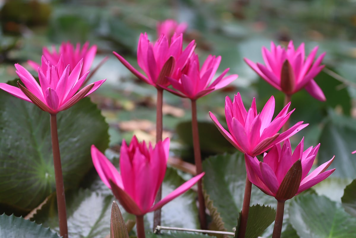 ছবি: মঈনুল ইসলাম