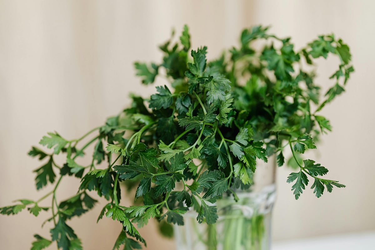 ছবি: পেক্সেলস ডটকম