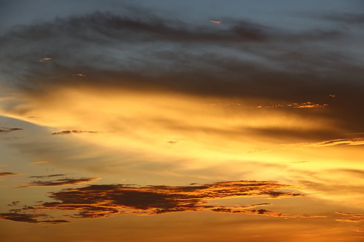 সোনালি রং ধারণ করেছে শরতের আকাশ।  