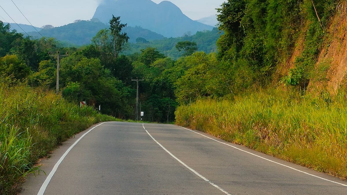 ছবি: বাবর আলীর সৌজন্যে
