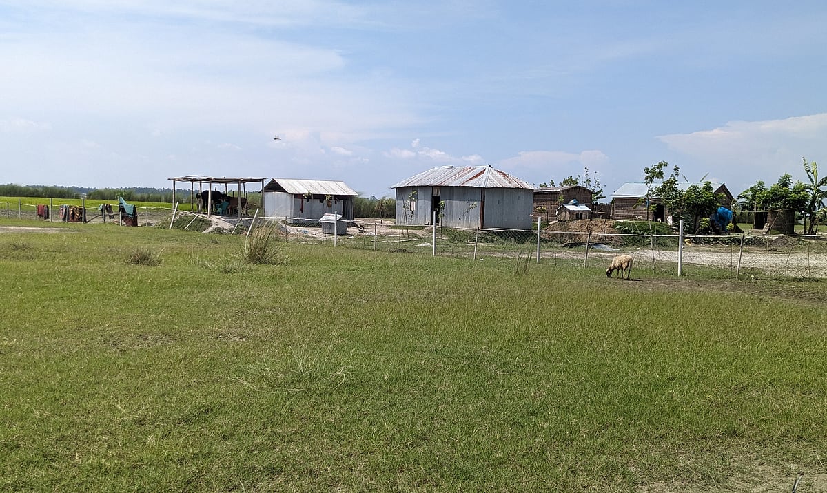 উলিপুরের চরে হাজারো তাঁত, তুলার চাষ কই