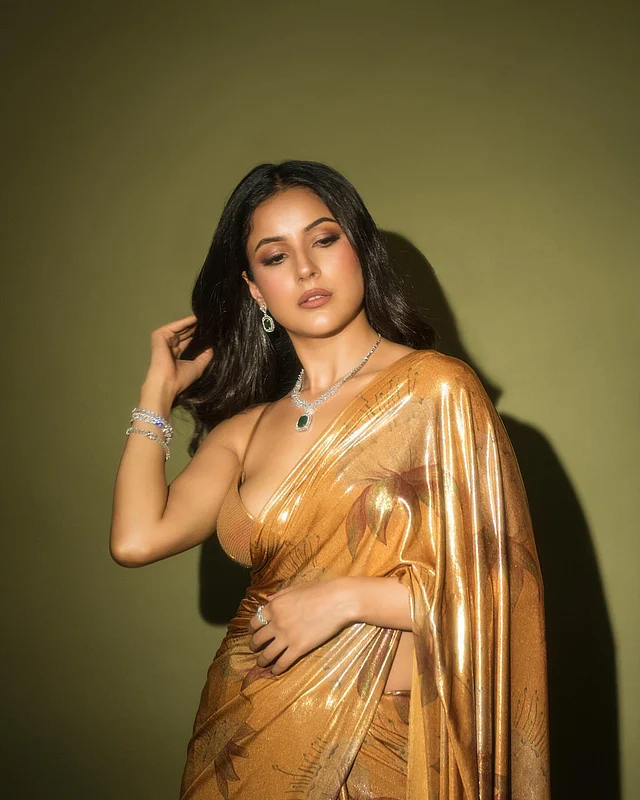 আম্বানিদের বিয়েতে শেহনাজের এই ঝলমলে সোনালি শাড়ি-ব্লাউজ সকলের নজর কেড়েছিল 