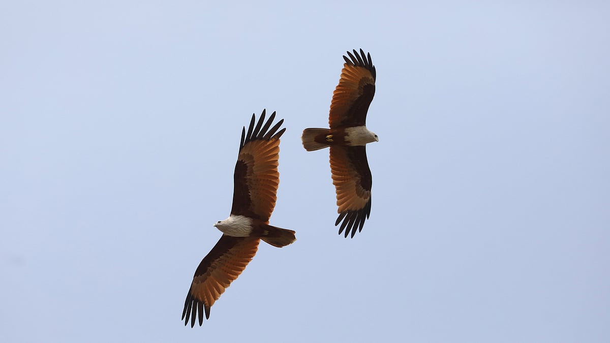  ছবি: আনিস মাহমুদ