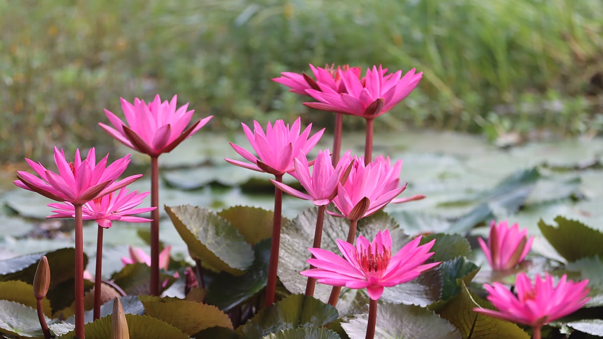 ছবি: মঈনুল ইসলাম