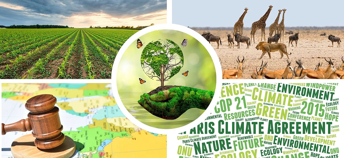 ছবিটি বায়ো ডিবির ওয়েবসাইট থেকে নেওয়া