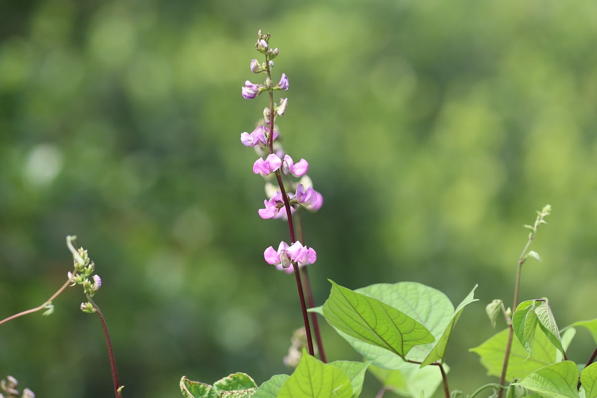 ছবি: এম সাদেক