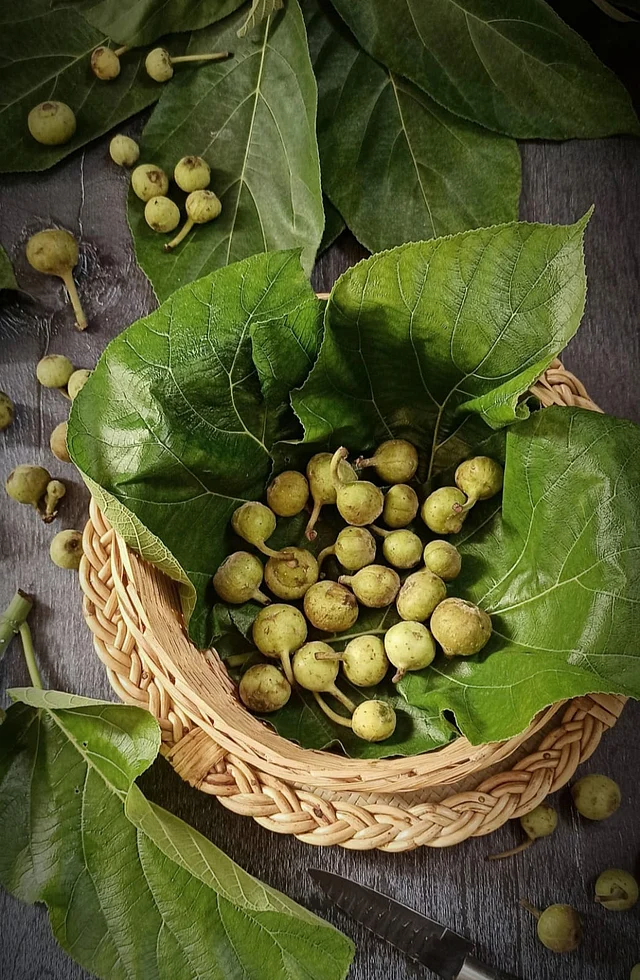 ডুমুরে থাকা অ্যান্টি অক্সিডেন্ট ও পটাসিয়াম হৃদরোগের ঝুঁকি হ্রাস করে