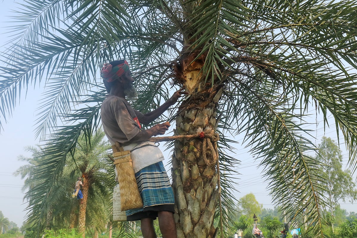 ছবি: সোয়েল রানা 