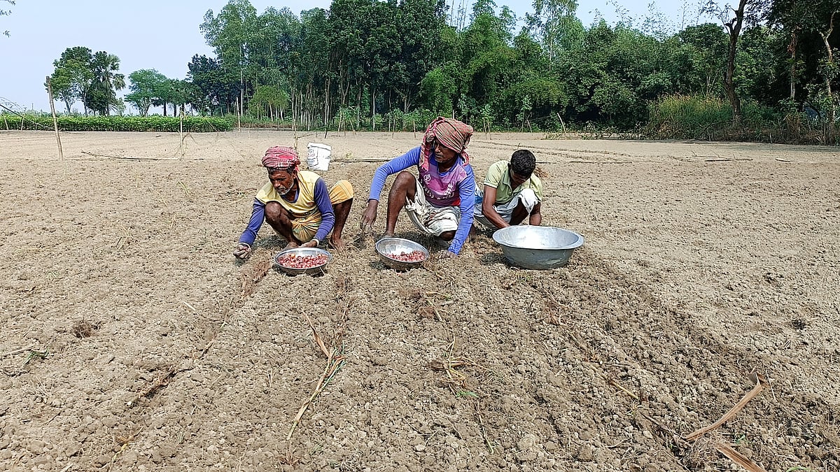 ছবি: প্রথম আলো