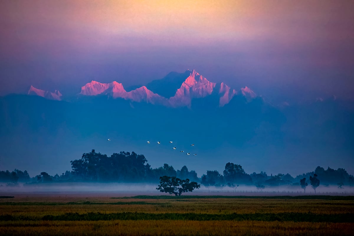 ভোরের প্রথম আলো পড়ছে কাঞ্চনজঙ্ঘার চূড়ায়।
