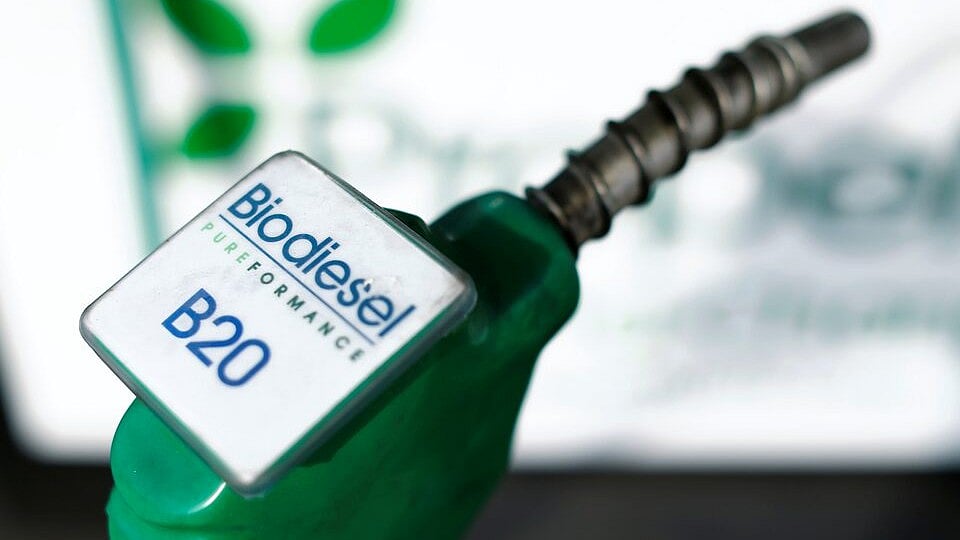 কার্বন ডাই–অক্সাইড থেকে তৈরি হবে ইলেকট্রো-বায়োডিজেল