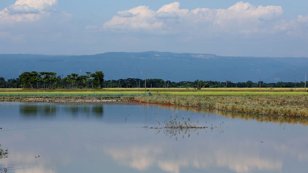 জলাশয়, ফসলের খেত আর দূর দিগন্তের পাহাড়—কমলাপুরে গেলে এসবই চোখে পড়বে