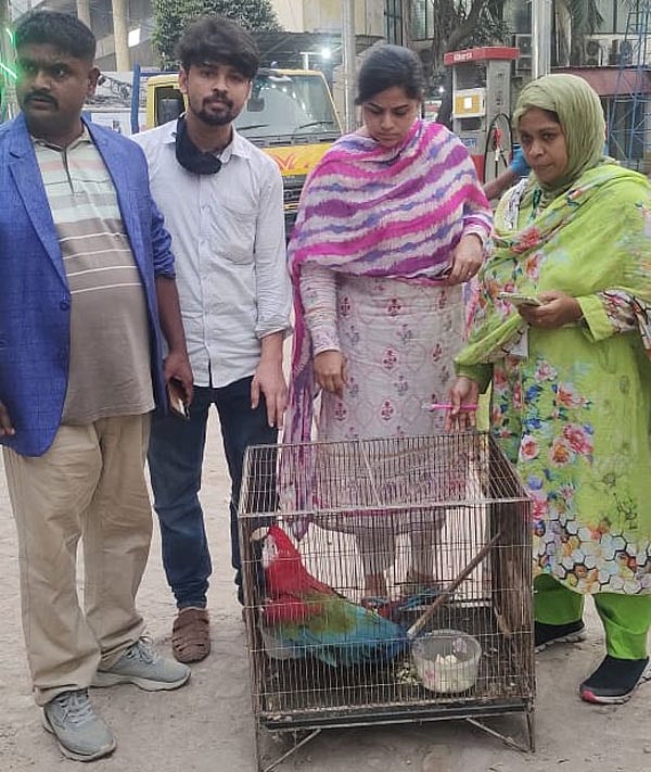 ছবি: প্রথম আলো