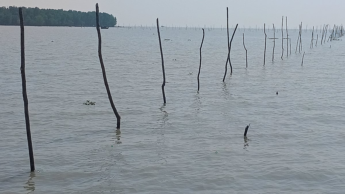 ছবি: প্রথম আলো