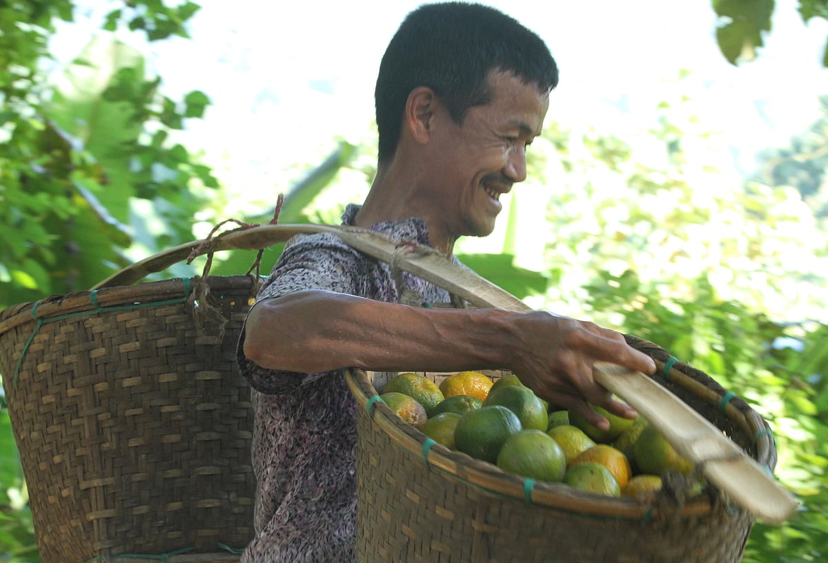 কমলা নিয়ে বাজারে যাচ্ছেন কৃষক সুজন চাকমা।
