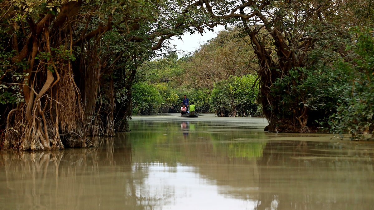 শান্ত জলরাশির বুকে চলছে নৌকা