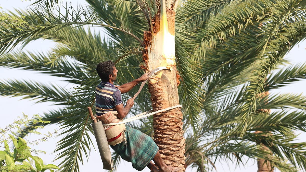 ছবি: আলীমুজ্জামান