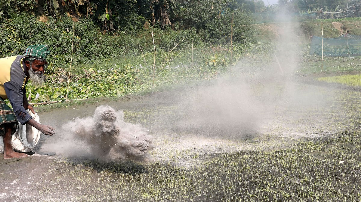 ছবি: সোয়েল রানা