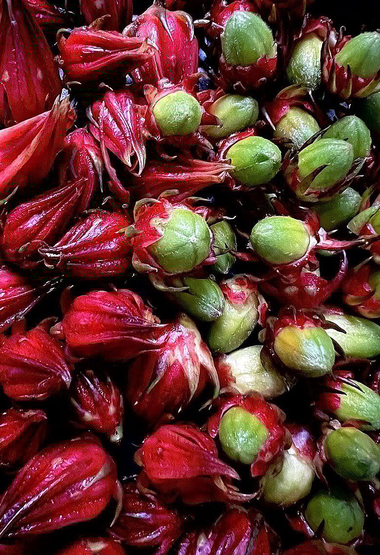 বিজয়ের লাল-সবুজে সুস্বাস্থ্যের রং