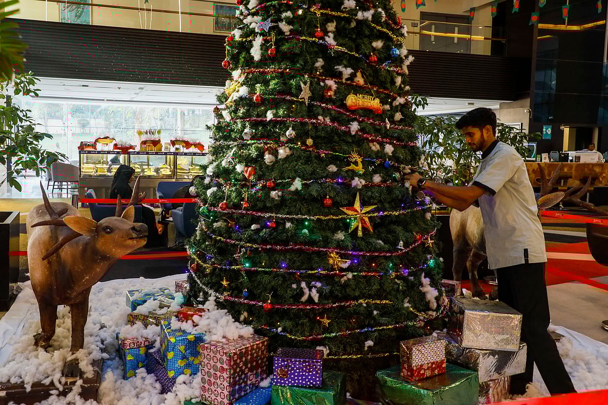 বড়দিনে সাজানো হচ্ছে বিশাল আকারের ক্রিসমাস ট্রি 