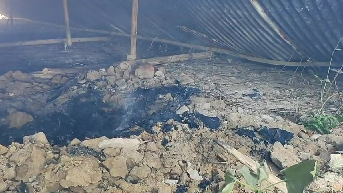 ছবি: সংগৃহীত