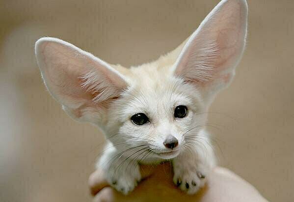 ছবি: এক্স থেকে নেওয়া