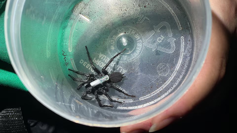 ছবি: রয়টার্স