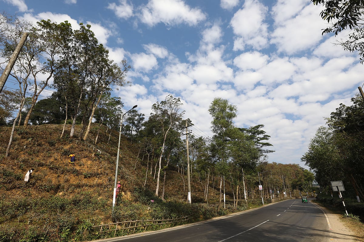 শীতে আকাশে শরতের মতো সাদা মেঘ।