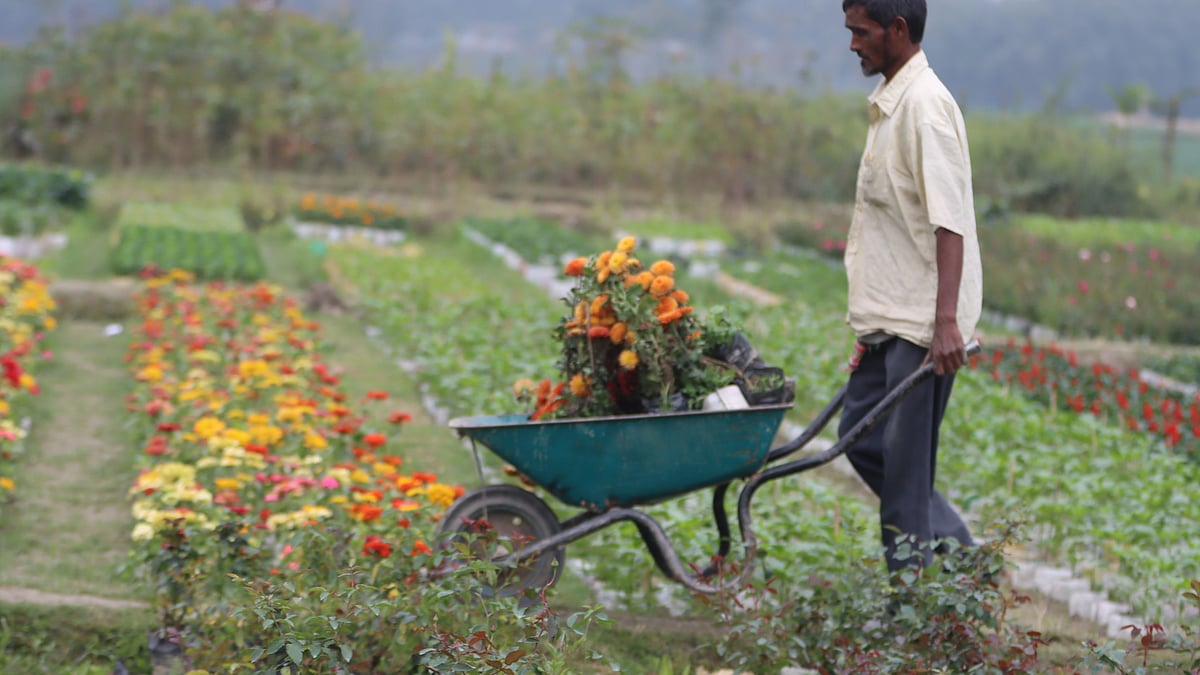 ছবি: মঈনুল ইসলাম