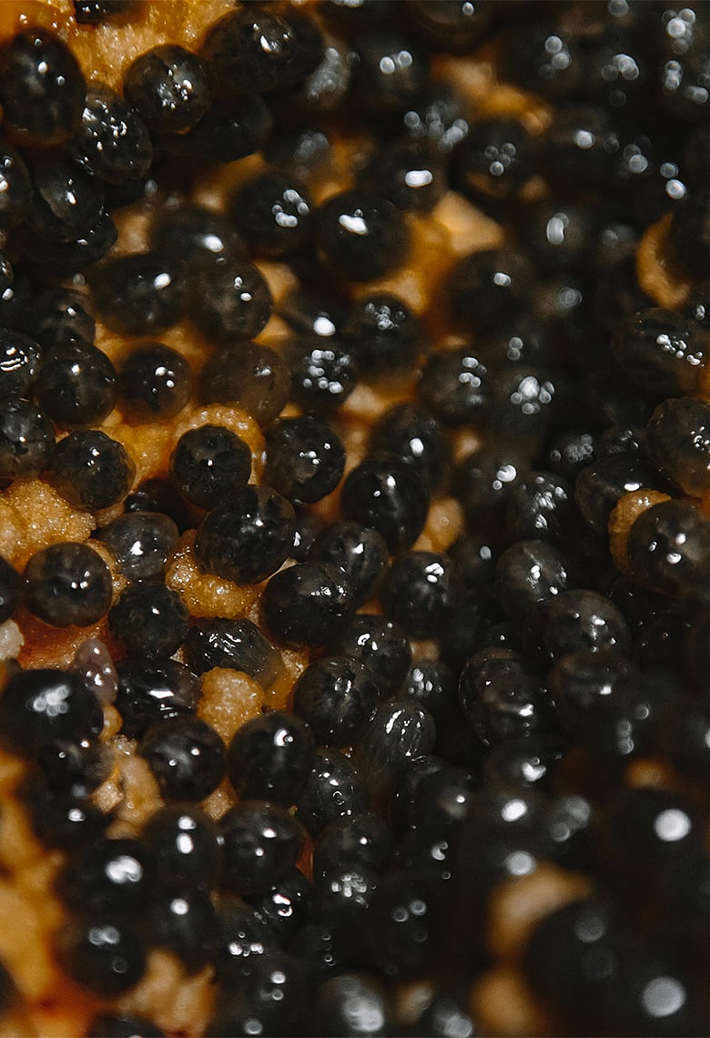 পেঁপের বীজ এক শক্তিশালী পরজীবীনাশক, আছে আরো ৮টি উপকারিতা