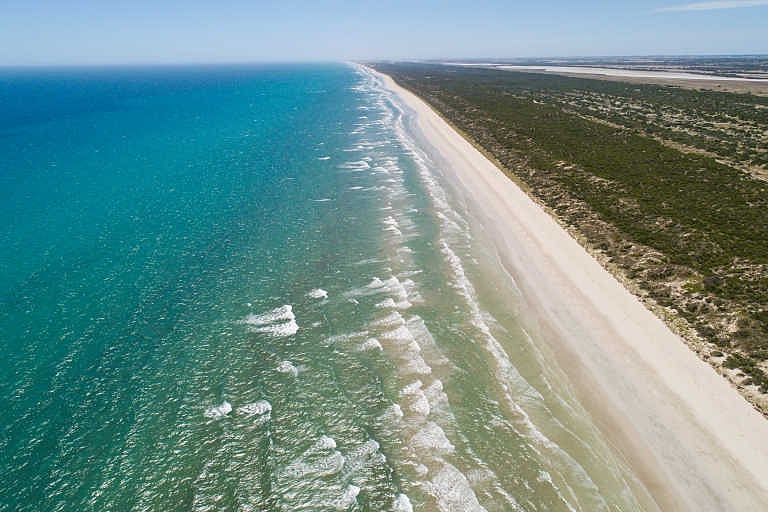 ছবি: এক্স থেকে নেওয়া