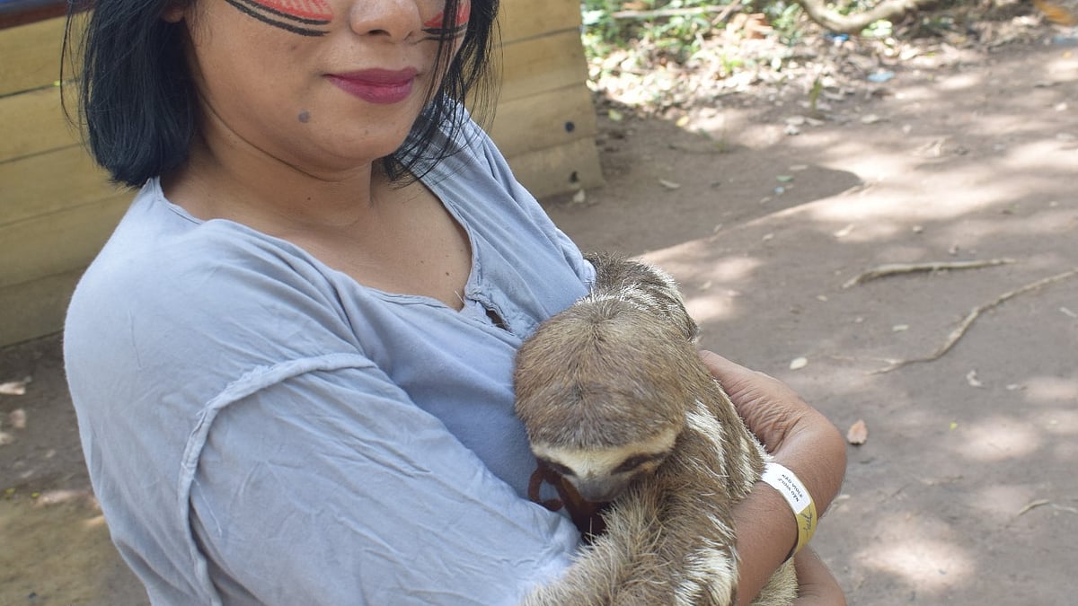 ছবি: লেখকের সৌজন্যে