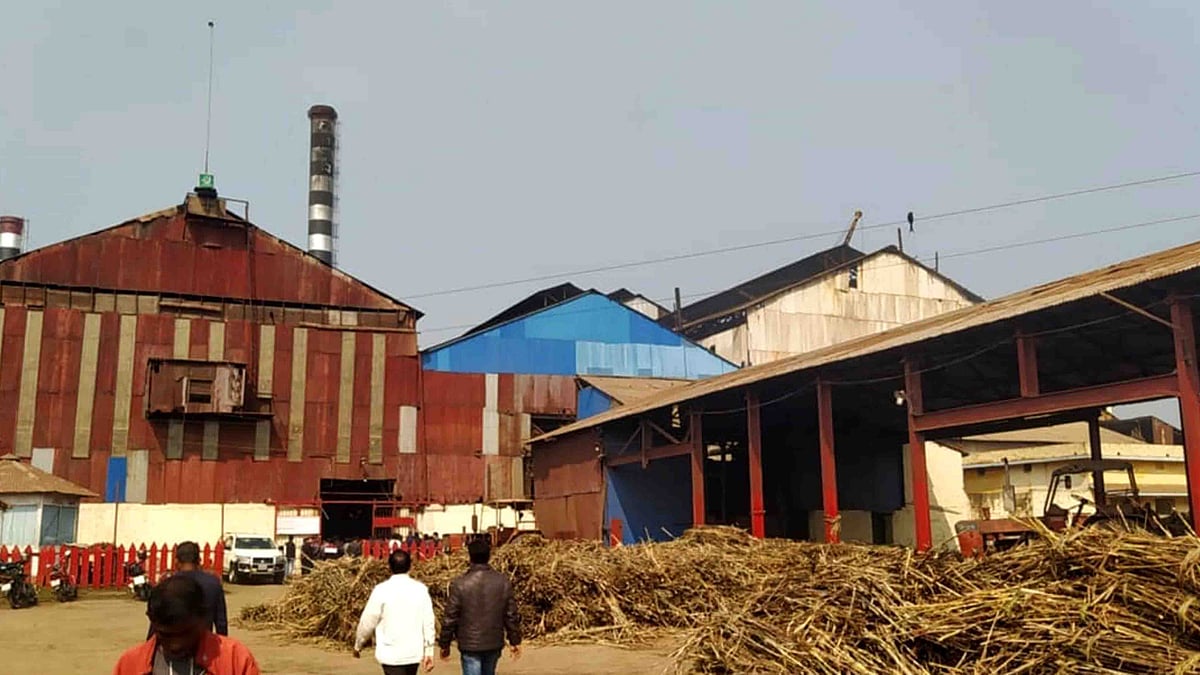 ছবি: প্রথম আলো